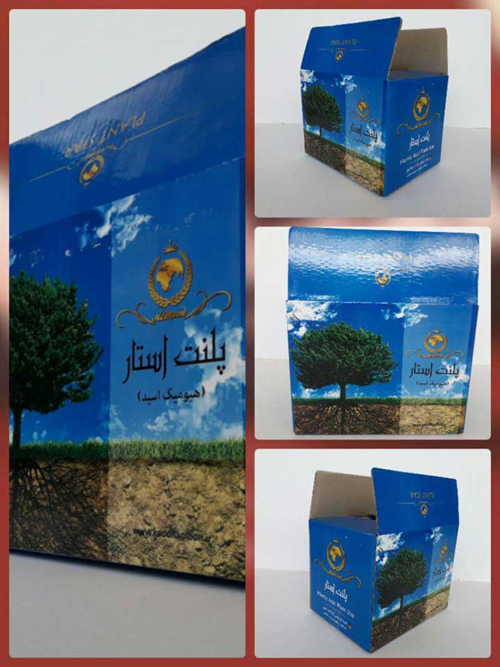 Plant star - کارتن سازی پارس ایران
